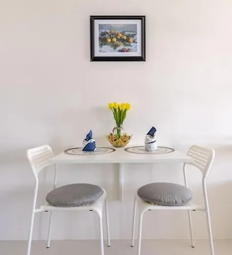 Excellent For Long Apartment